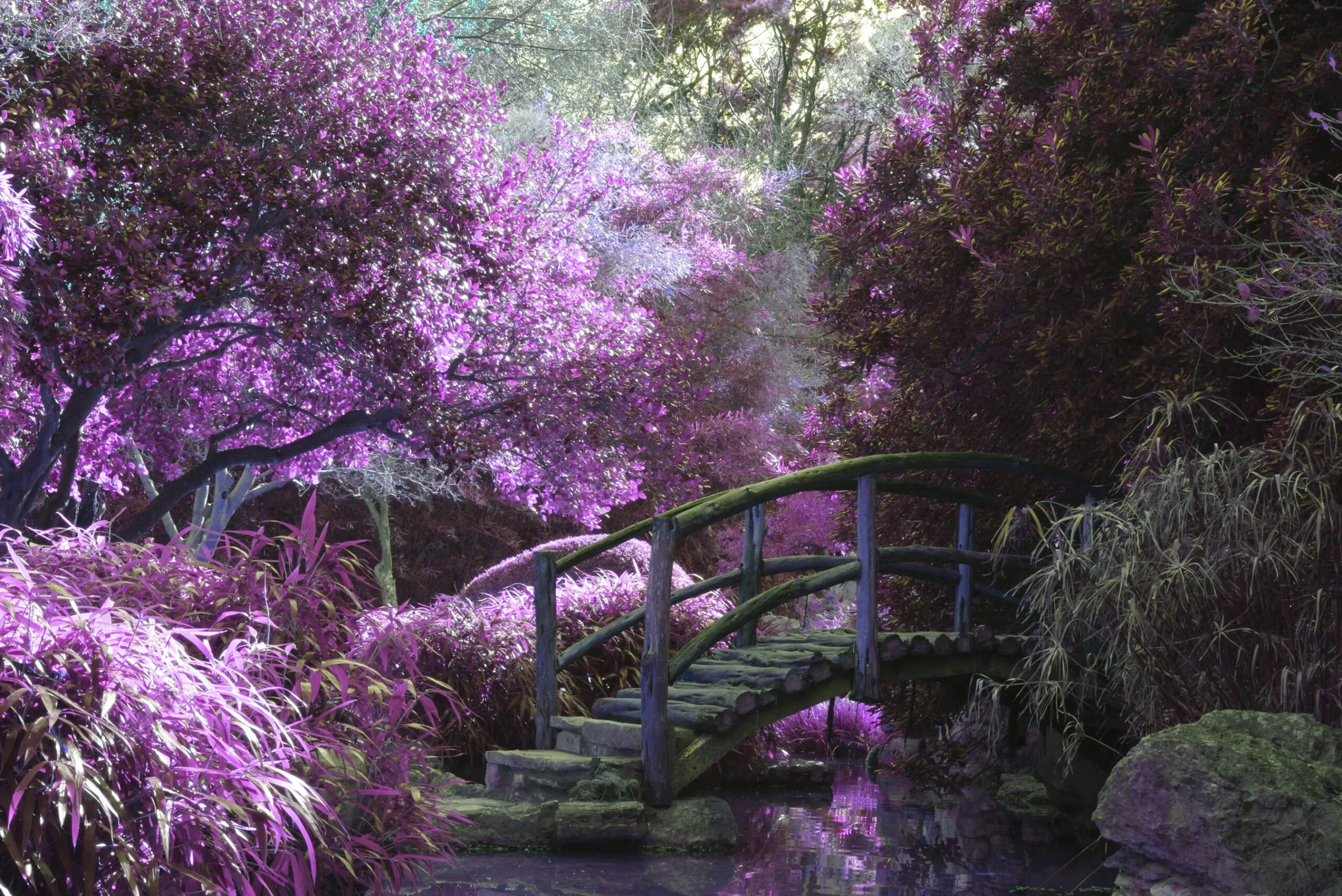 Purple Zen Garden Bridge landscaper-gallery-05