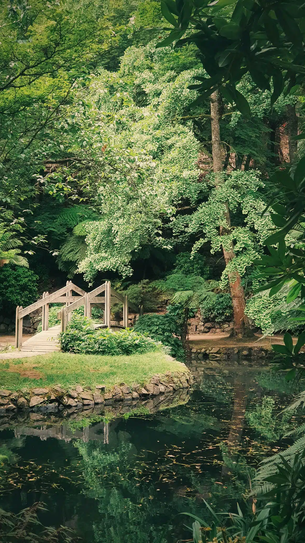 Garden Bridge & Water Moat landscaper-gallery-10